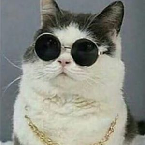 Meet your Posher, Madison